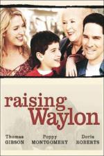 Film Druhá šance (Raising Waylon) 2004 online ke shlédnutí