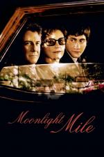 Film Půlnoční míle (Moonlight Mile) 2002 online ke shlédnutí