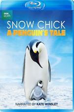 Film Příběh malého tučňáka (Snow Chick: A Penguin's Tale) 2015 online ke shlédnutí