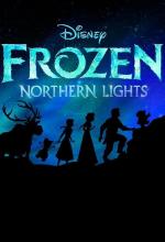 Film Ledové království: Polární záře (LEGO Frozen Northern Lights) 2016 online ke shlédnutí
