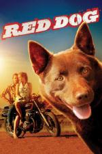 Film Red Dog (Red Dog) 2011 online ke shlédnutí