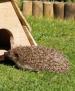 Film Hotel pro ježky (The Hedgehog Hotel) 2015 online ke shlédnutí