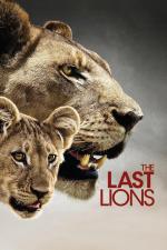 Film Poslední lvi (The Last Lions) 2011 online ke shlédnutí
