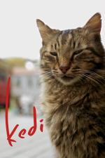 Film Kedi (Kedi) 2016 online ke shlédnutí