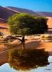 Film Namibie, země nedotčené přírody (Namibie) 2013 online ke shlédnutí
