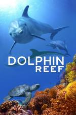 Film Dolphin Reef (Dolphin Reef) 2020 online ke shlédnutí