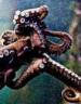 Film Chobotnice - mořští mistři intelektu (La planète des pieuvres) 2010 online ke shlédnutí