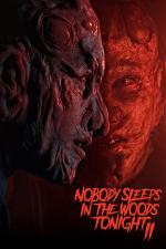 Film Dnes v noci v lese nikdo nespí 2 (Nobody Sleeps In The Woods Tonight 2) 2021 online ke shlédnutí
