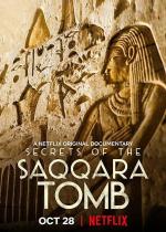 Film Rozluštění záhady Sakkáry (Příběh hieroglyfů ze Sakkáry) 2020 online ke shlédnutí
