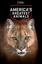 Film Nejlepší zvířata Ameriky (America's Greatest Animals) 2012 online ke shlédnutí