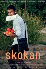 Film Skokan (Skokan) 2017 online ke shlédnutí