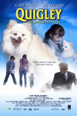 Film Quigley - psí život (Quigley) 2003 online ke shlédnutí