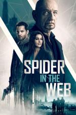 Film Pavouk v síti (Spider in the Web) 2019 online ke shlédnutí