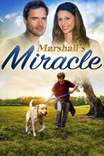 Film Přátelské pouto (Marshall the Miracle Dog) 2015 online ke shlédnutí