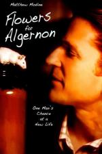 Film Kytička pro Algernona (Flowers for Algernon) 2000 online ke shlédnutí