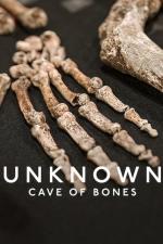 Film Nepoznané: Jeskyně kostí (Unknown: Cave of Bones) 2023 online ke shlédnutí