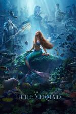 Film Malá mořská víla (The Little Mermaid) 2023 online ke shlédnutí