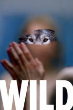 Film Divoká (Wild) 2016 online ke shlédnutí