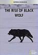 Film Vzestup černého vlka (Vzestup černého vlka) 2010 online ke shlédnutí