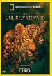 Film Neobyčejný levhart (The Unlikely Leopard) 2012 online ke shlédnutí